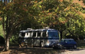 Shady-Campsite Photo showing a white bus conversion RV with a blue mini cooper parked in front of it in a shaded campsite