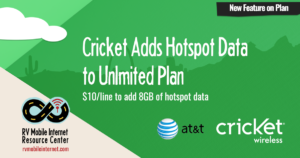 cricket cricket